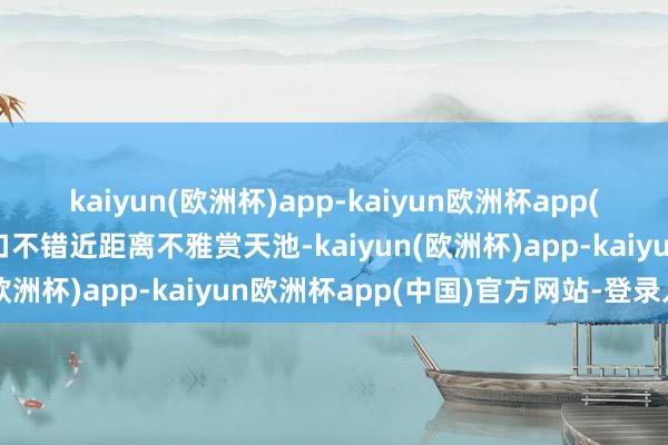 kaiyun(欧洲杯)app-kaiyun欧洲杯app(中国)官方网站-登录入口不错近距离不雅赏天池-kaiyun(欧洲杯)app-kaiyun欧洲杯app(中国)官方网站-登录入口