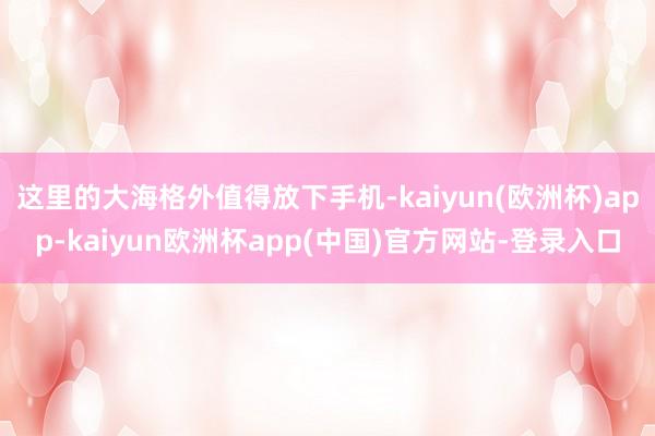 这里的大海格外值得放下手机-kaiyun(欧洲杯)app-kaiyun欧洲杯app(中国)官方网站-登录入口