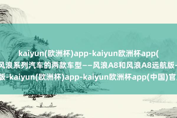 kaiyun(欧洲杯)app-kaiyun欧洲杯app(中国)官方网站-登录入口风浪系列汽车的两款车型——风浪A8和风浪A8远航版-kaiyun(欧洲杯)app-kaiyun欧洲杯app(中国)官方网站-登录入口