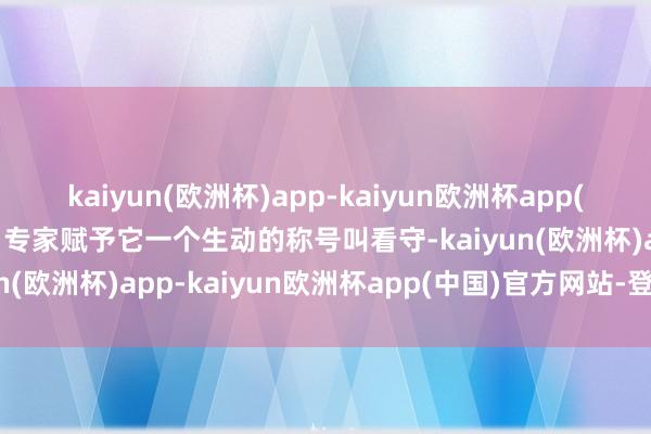 kaiyun(欧洲杯)app-kaiyun欧洲杯app(中国)官方网站-登录入口专家赋予它一个生动的称号叫看守-kaiyun(欧洲杯)app-kaiyun欧洲杯app(中国)官方网站-登录入口