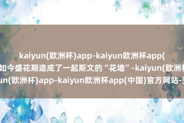 kaiyun(欧洲杯)app-kaiyun欧洲杯app(中国)官方网站-登录入口如今盛花期造成了一起斯文的“花墙”-kaiyun(欧洲杯)app-kaiyun欧洲杯app(中国)官方网站-登录入口