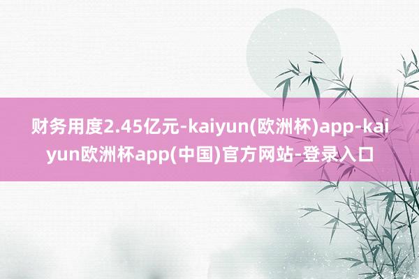 财务用度2.45亿元-kaiyun(欧洲杯)app-kaiyun欧洲杯app(中国)官方网站-登录入口