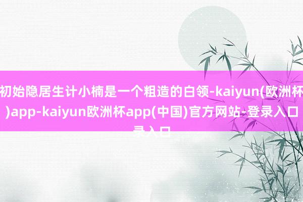 初始隐居生计小楠是一个粗造的白领-kaiyun(欧洲杯)app-kaiyun欧洲杯app(中国)官方网站-登录入口