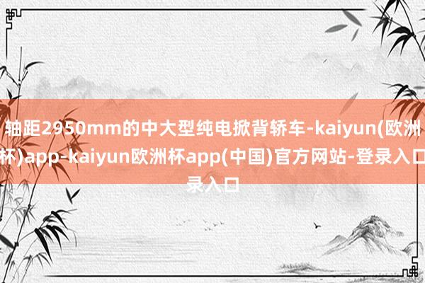 轴距2950mm的中大型纯电掀背轿车-kaiyun(欧洲杯)app-kaiyun欧洲杯app(中国)官方网站-登录入口