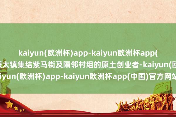 kaiyun(欧洲杯)app-kaiyun欧洲杯app(中国)官方网站-登录入口振太镇集结紫马街及隔邻村组的原土创业者-kaiyun(欧洲杯)app-kaiyun欧洲杯app(中国)官方网站-登录入口