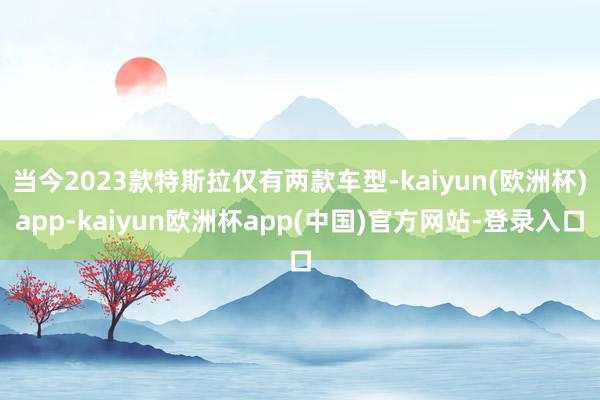 当今2023款特斯拉仅有两款车型-kaiyun(欧洲杯)app-kaiyun欧洲杯app(中国)官方网站-登录入口