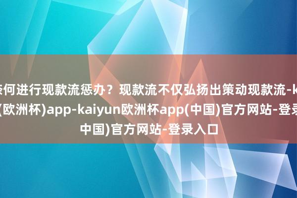 奈何进行现款流惩办？现款流不仅弘扬出策动现款流-kaiyun(欧洲杯)app-kaiyun欧洲杯app(中国)官方网站-登录入口