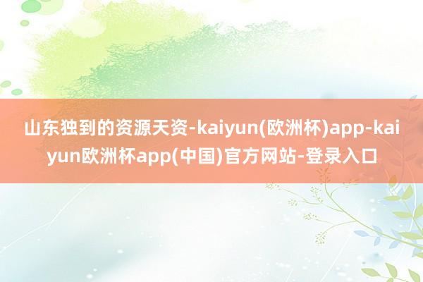 山东独到的资源天资-kaiyun(欧洲杯)app-kaiyun欧洲杯app(中国)官方网站-登录入口