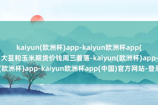 kaiyun(欧洲杯)app-kaiyun欧洲杯app(中国)官方网站-登录入口大豆和玉米期货价钱周三着落-kaiyun(欧洲杯)app-kaiyun欧洲杯app(中国)官方网站-登录入口