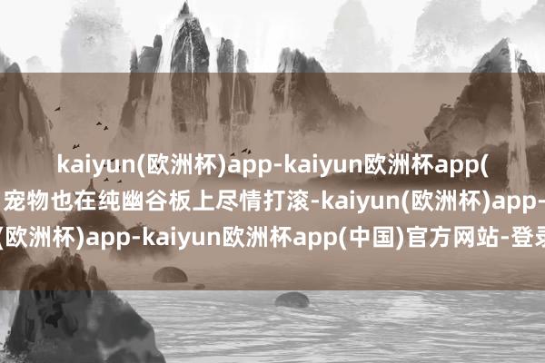 kaiyun(欧洲杯)app-kaiyun欧洲杯app(中国)官方网站-登录入口宠物也在纯幽谷板上尽情打滚-kaiyun(欧洲杯)app-kaiyun欧洲杯app(中国)官方网站-登录入口