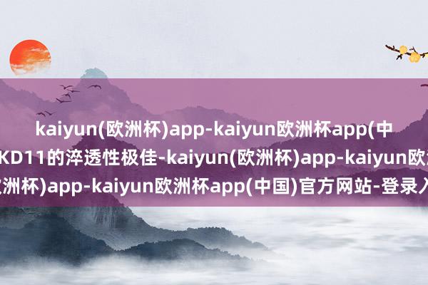 kaiyun(欧洲杯)app-kaiyun欧洲杯app(中国)官方网站-登录入口SKD11的淬透性极佳-kaiyun(欧洲杯)app-kaiyun欧洲杯app(中国)官方网站-登录入口