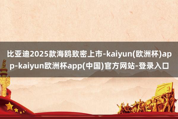 比亚迪2025款海鸥致密上市-kaiyun(欧洲杯)app-kaiyun欧洲杯app(中国)官方网站-登录入口