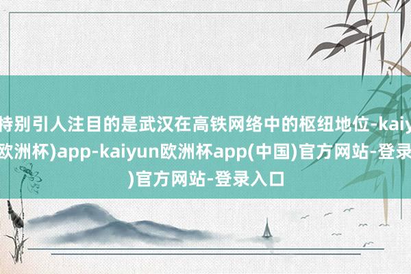 特别引人注目的是武汉在高铁网络中的枢纽地位-kaiyun(欧洲杯)app-kaiyun欧洲杯app(中国)官方网站-登录入口