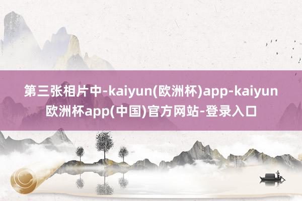 第三张相片中-kaiyun(欧洲杯)app-kaiyun欧洲杯app(中国)官方网站-登录入口