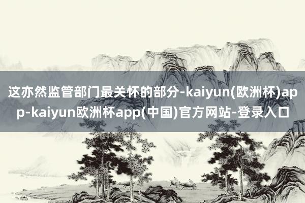 这亦然监管部门最关怀的部分-kaiyun(欧洲杯)app-kaiyun欧洲杯app(中国)官方网站-登录入口