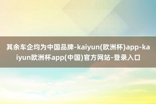 其余车企均为中国品牌-kaiyun(欧洲杯)app-kaiyun欧洲杯app(中国)官方网站-登录入口