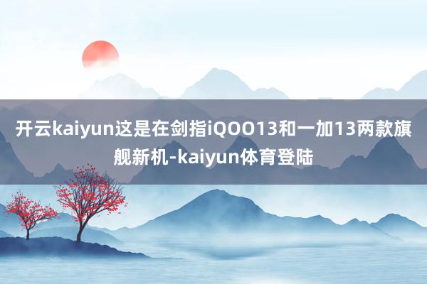 开云kaiyun这是在剑指iQOO13和一加13两款旗舰新机-kaiyun体育登陆